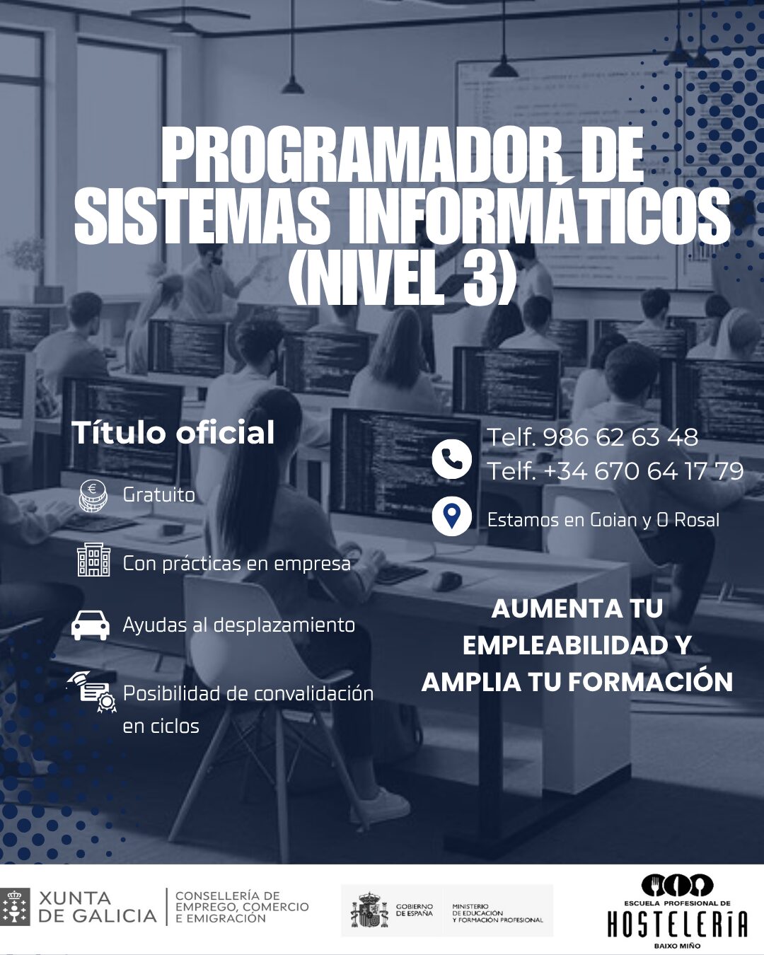 PROGRAMADOR DE SISTEMAS INFORMÁTICOS (Nivel 3)